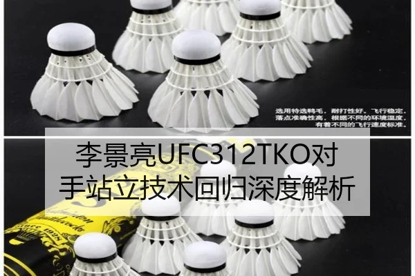 李景亮UFC312TKO对手站立技术回归深度解析