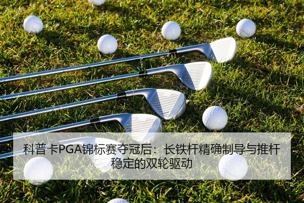ke-pu-ka-jin-biao-sai-duo-guan-hou-zhang-tie-gan-jing-que-zhi-dao-yu-tui-gan-wen-ding-de-shuang-lun-qu-dong-3-257.jpg